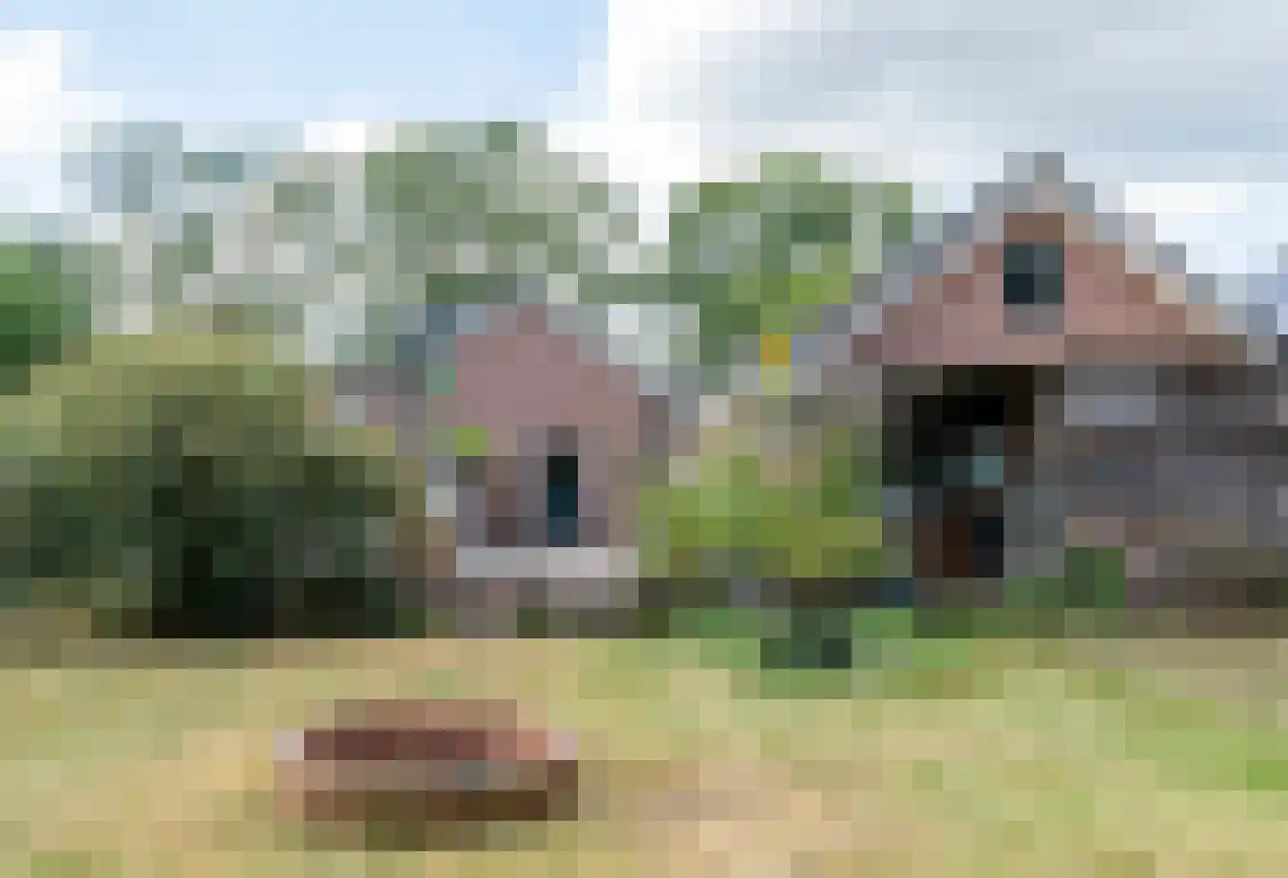 Westerdiep OZ 91 Emmer-Compascuum thumbnail 26