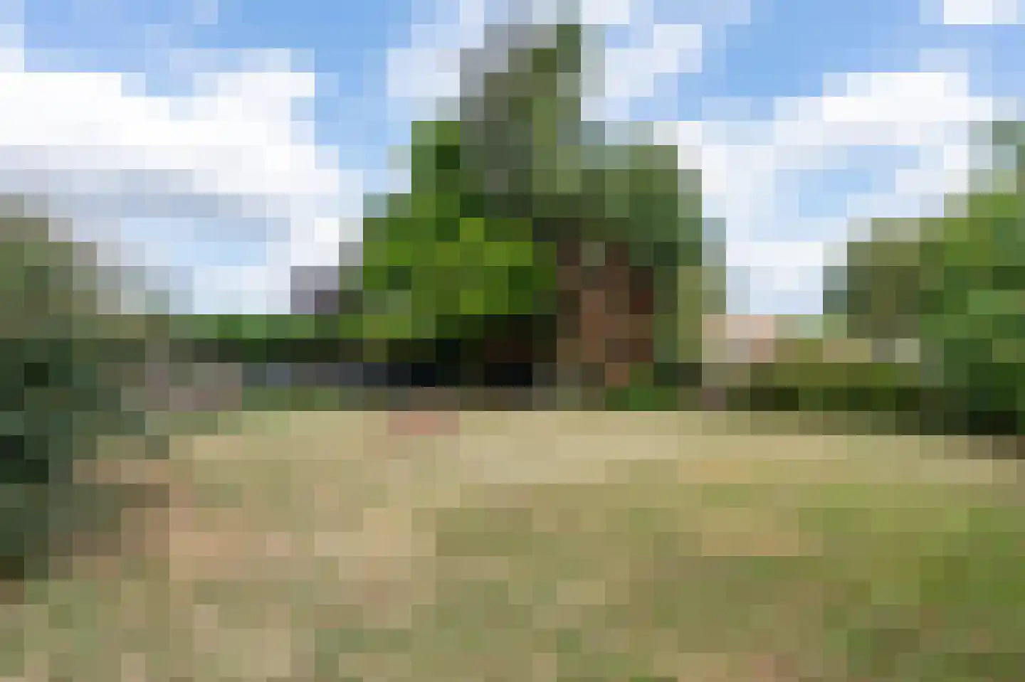 Westerdiep OZ 91 Emmer-Compascuum thumbnail 27
