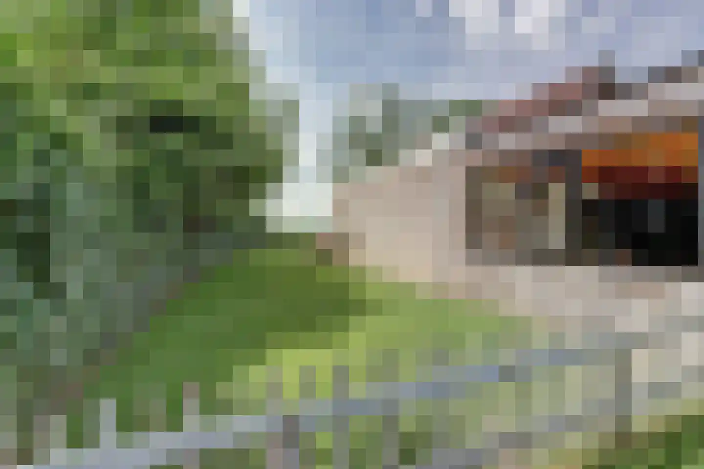 Westerdiep OZ 92 Emmer-Compascuum thumbnail 48