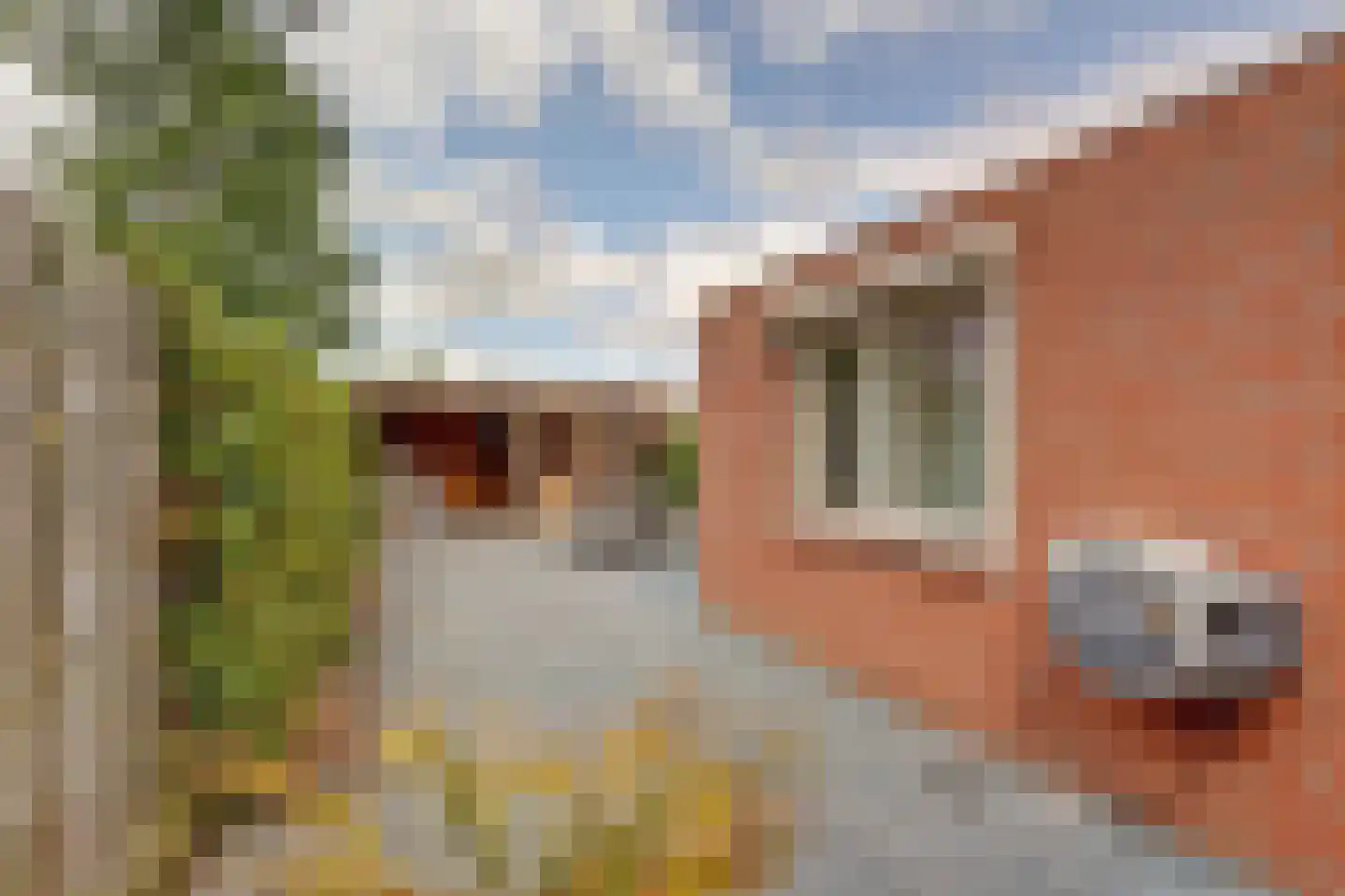 Westerdiep WZ 94 Emmer-Compascuum thumbnail 22