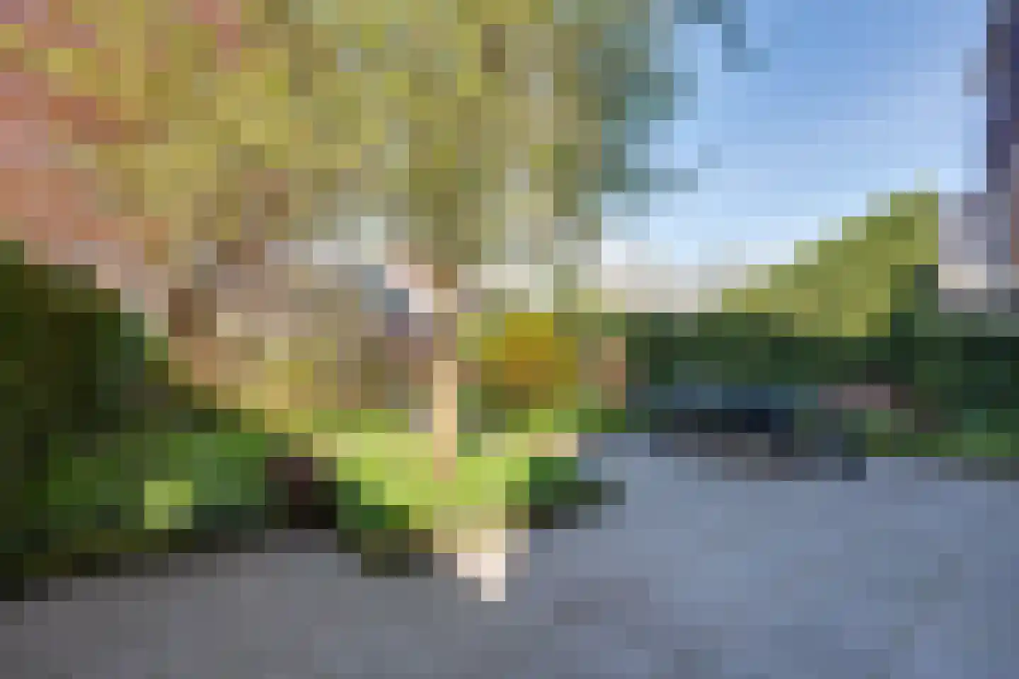 Westerdiepswal 10 Kollum thumbnail 44