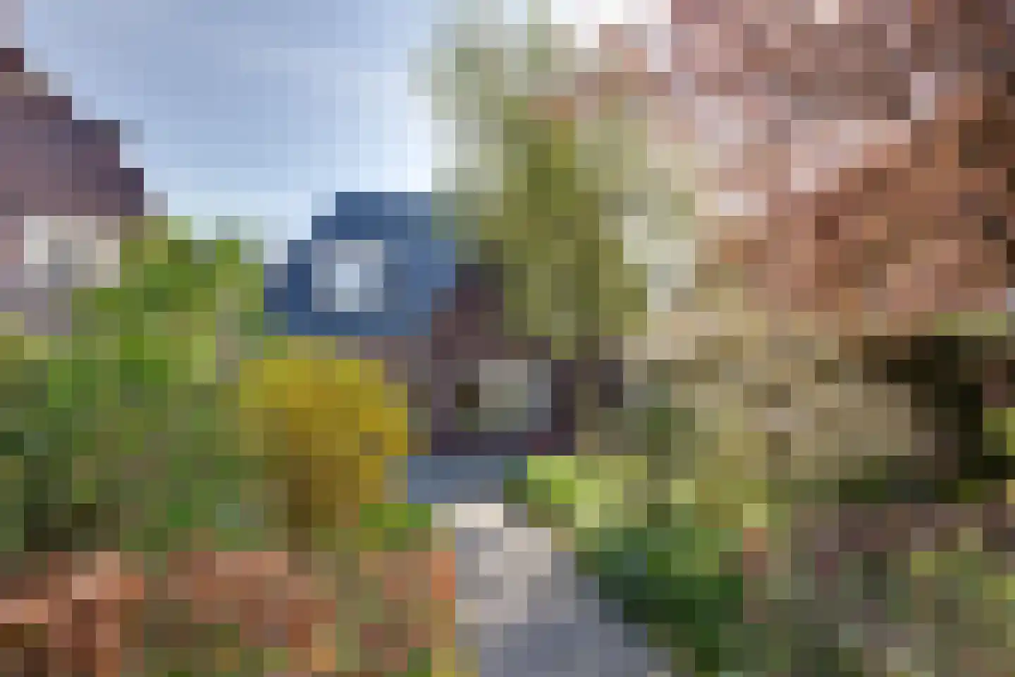 Westerdiepswal 10 Kollum thumbnail 48