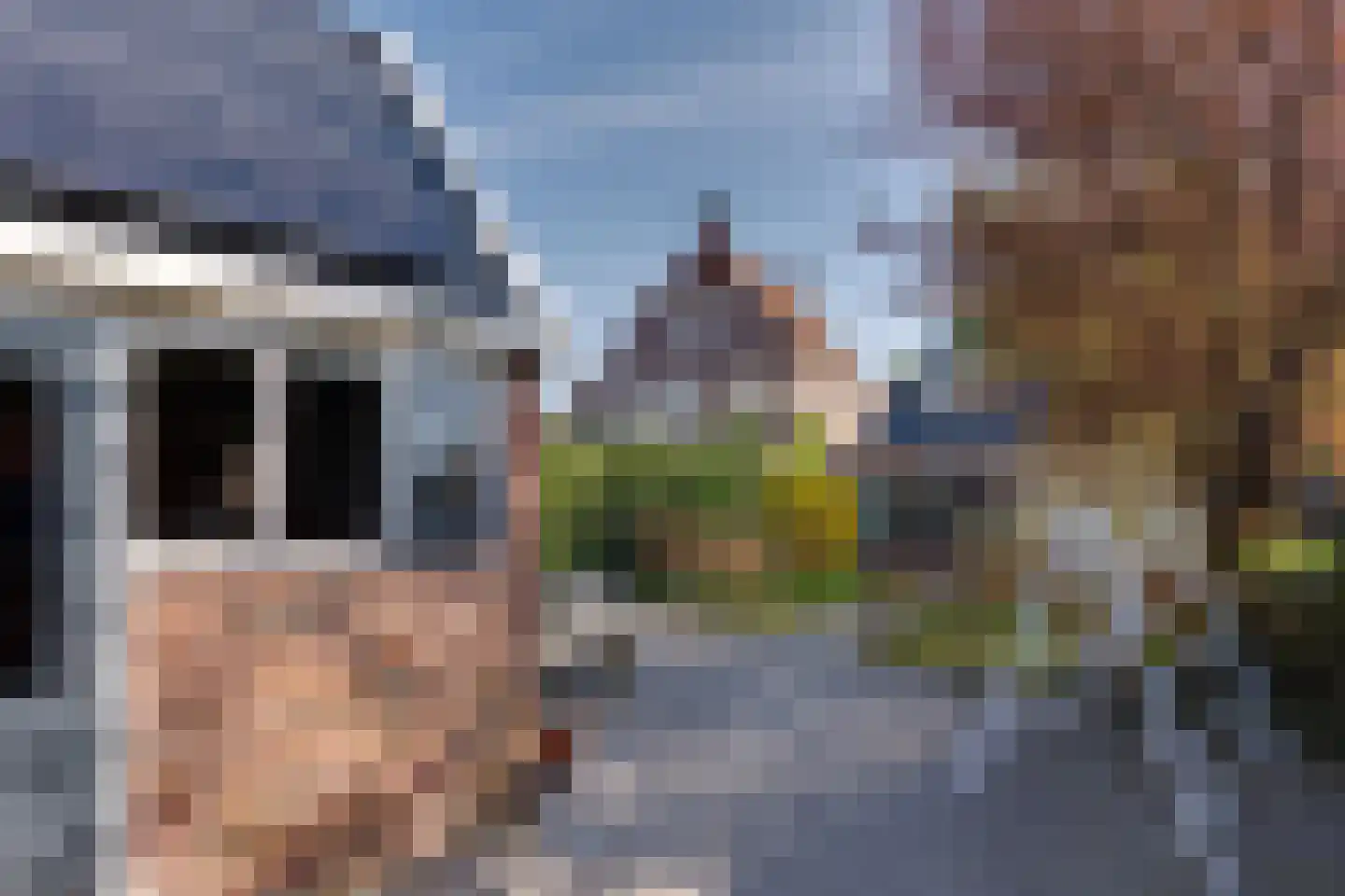 Westerdiepswal 10 Kollum thumbnail 52