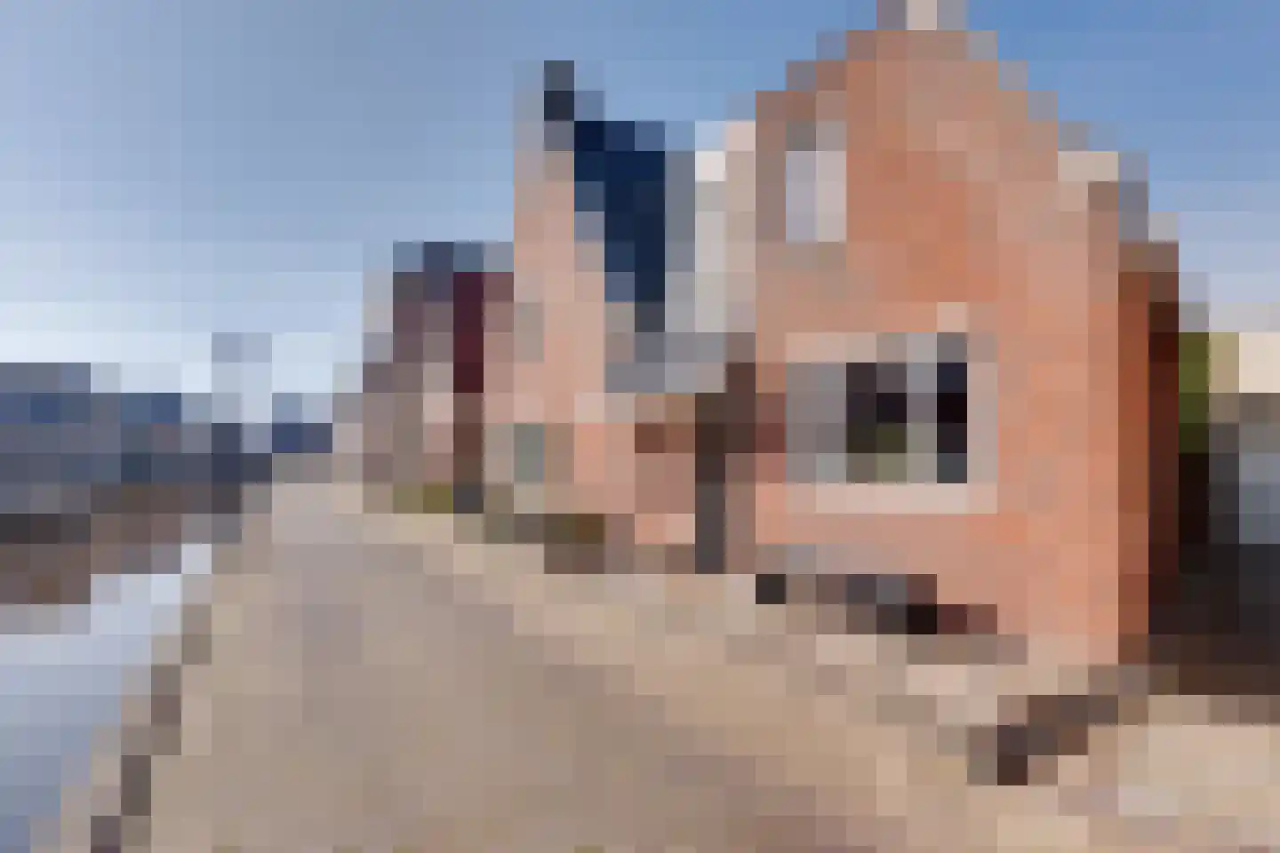 Westerdiepswal 10 Kollum thumbnail 8
