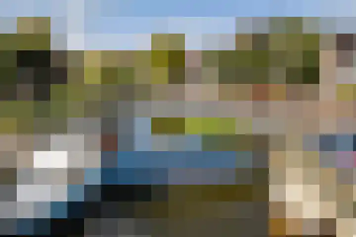 Westerdiepswal 6 Kollum thumbnail 12