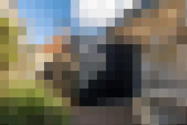 Westerdiepswal 6 Kollum thumbnail 13