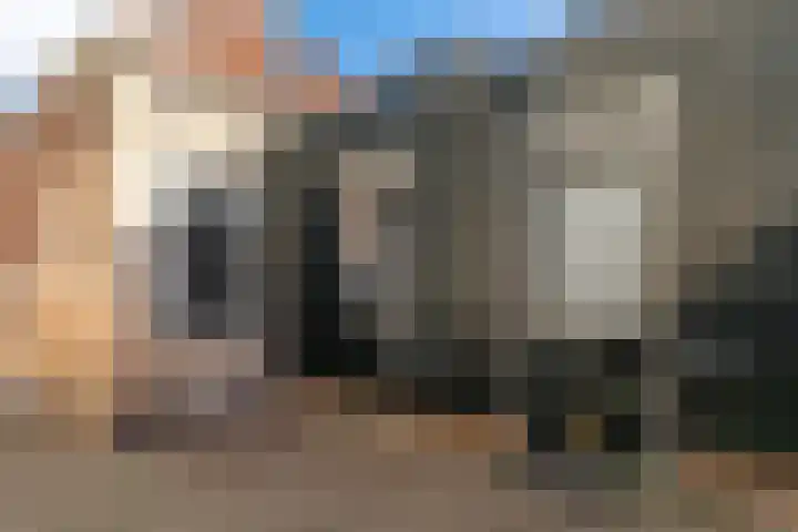 Westerdiepswal 6 Kollum thumbnail 15