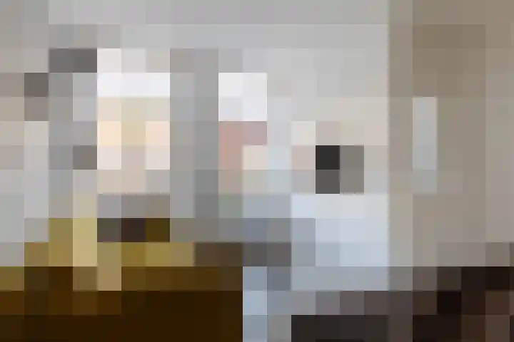 Westerdiepswal 6 Kollum thumbnail 18