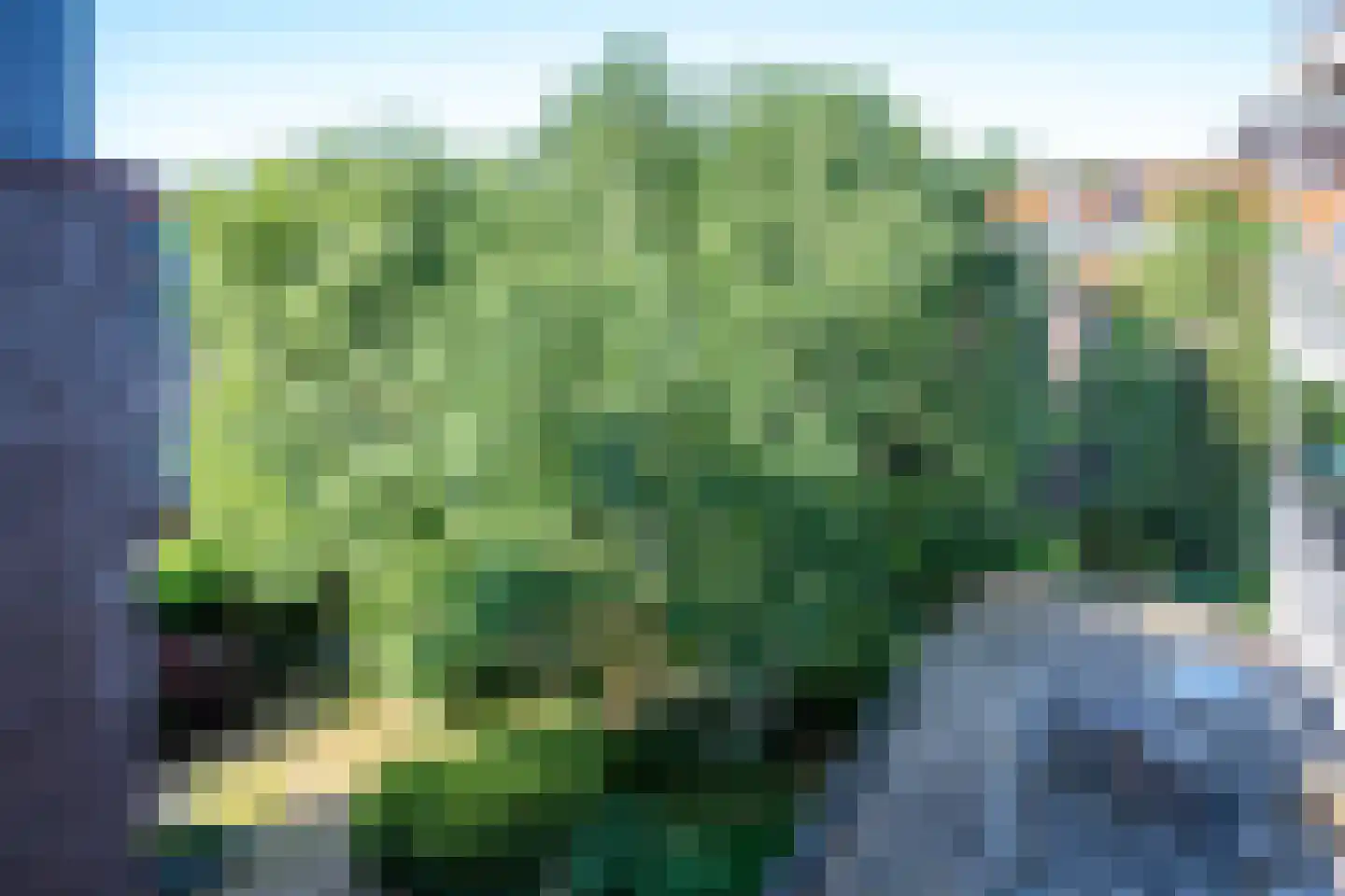 Westerdijk 18 N Utrecht thumbnail 20