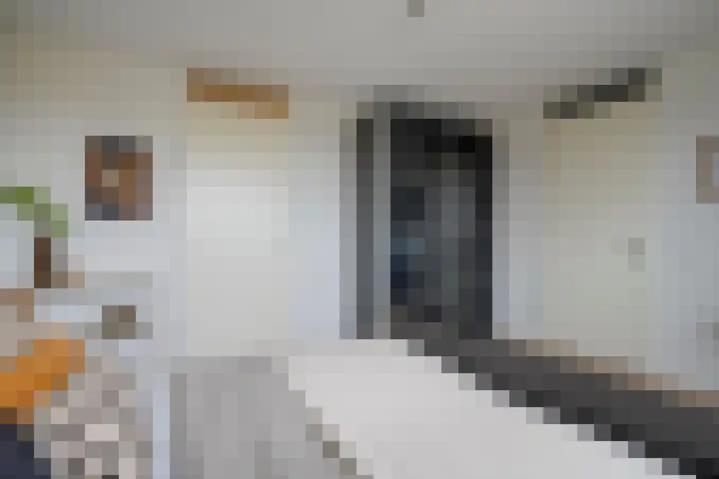 Westerdijk 18 T Utrecht thumbnail 17
