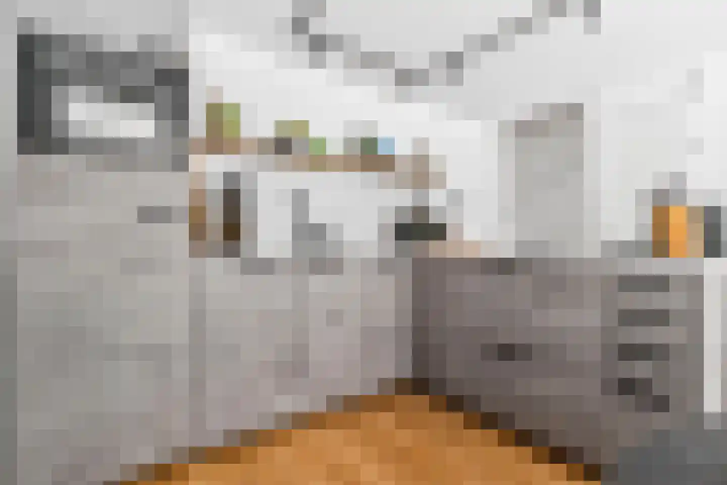 Westerdijk 20 Utrecht thumbnail 13