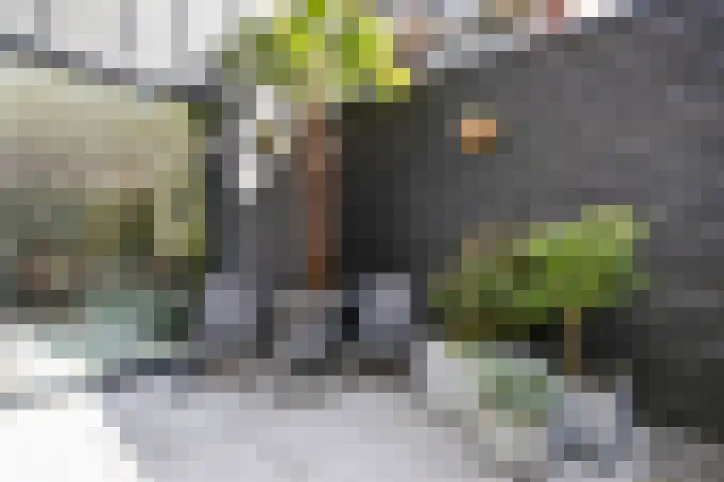 Westerdijk 20 Utrecht thumbnail 7