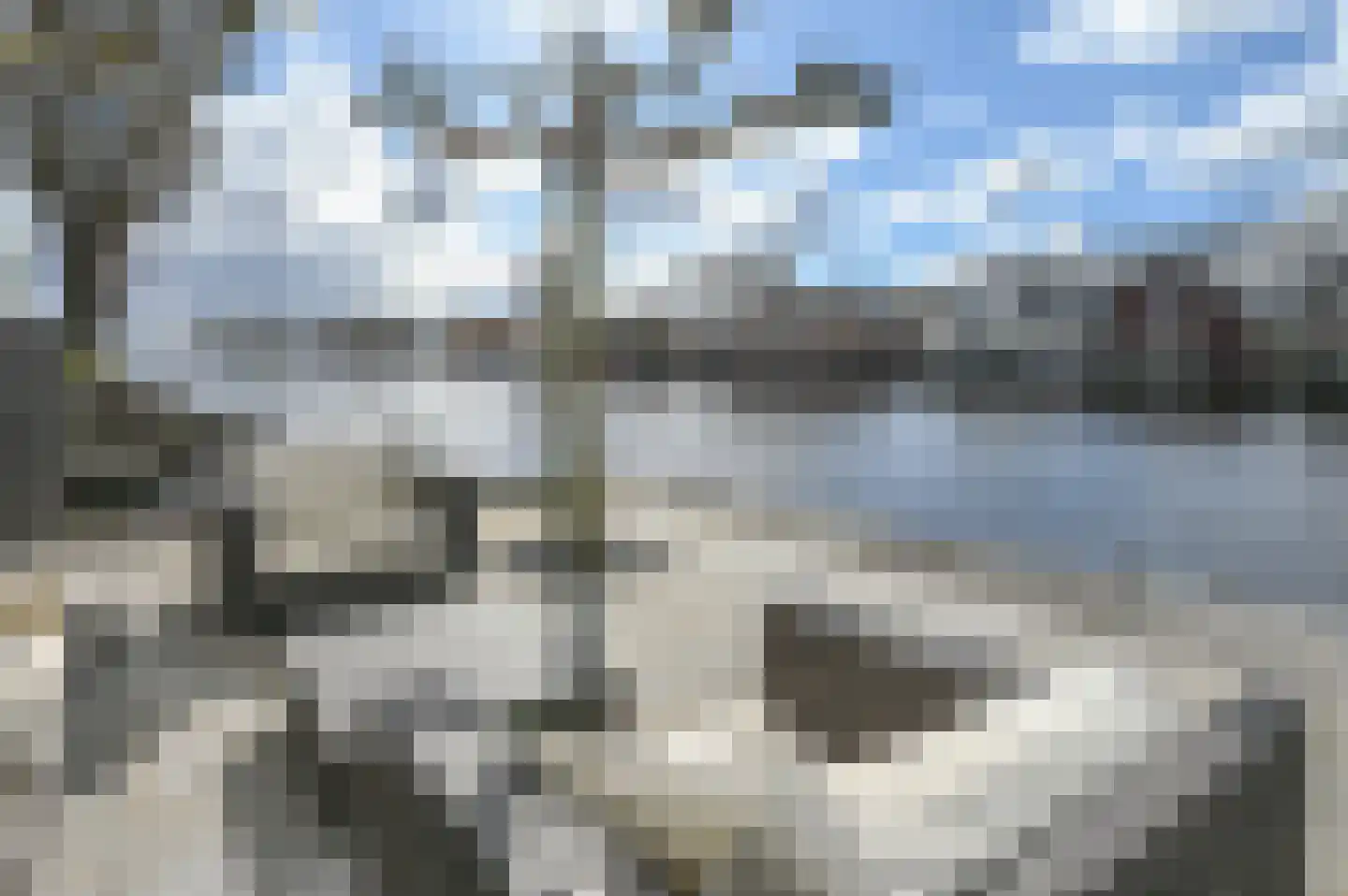 Westerdijk 34 Leimuiden thumbnail 72