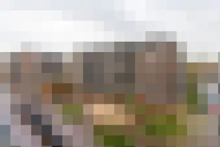 Westerdijk 4 0108 Utrecht thumbnail 17