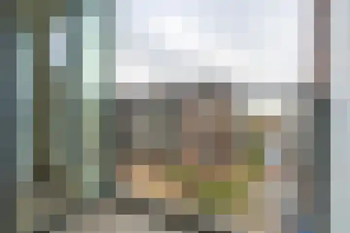 Westerdijk 4 0108 Utrecht thumbnail 9