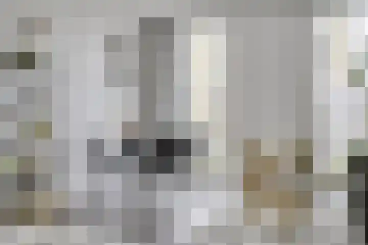 Westerdijk 4 0117 Utrecht thumbnail 12