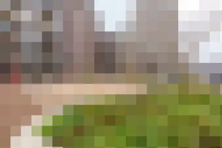 Westerdijk 4 0117 Utrecht thumbnail 25