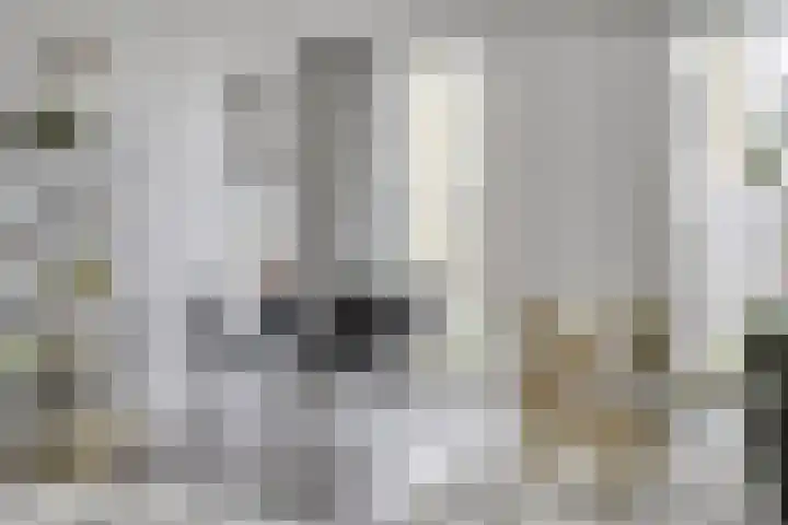 Westerdijk 4 0119 Utrecht thumbnail 14