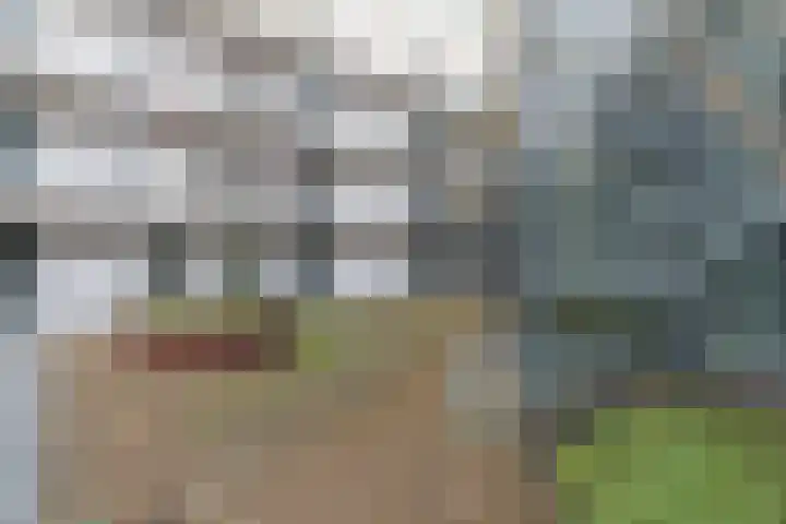 Westerdijk 4 0119 Utrecht thumbnail 22