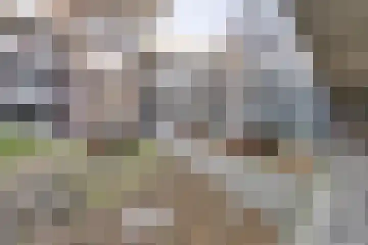 Westerdijk 4 0119 Utrecht thumbnail 25