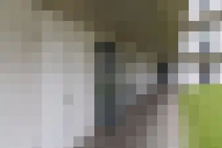 Westerdijk 4 0119 Utrecht thumbnail 7