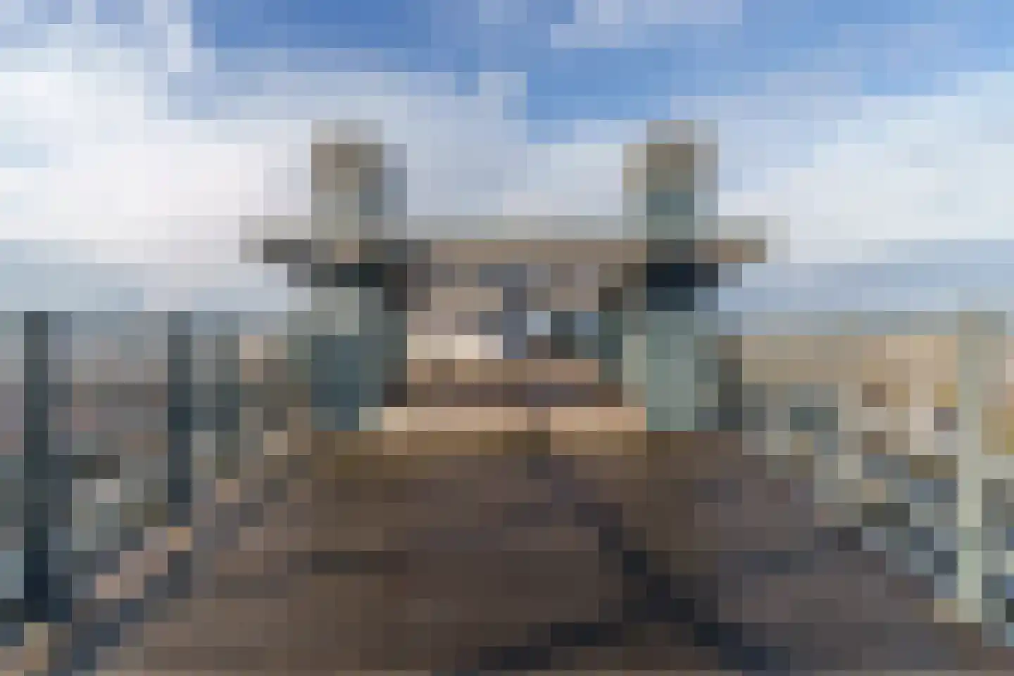 Westerdijk 4 0120 Utrecht thumbnail 27