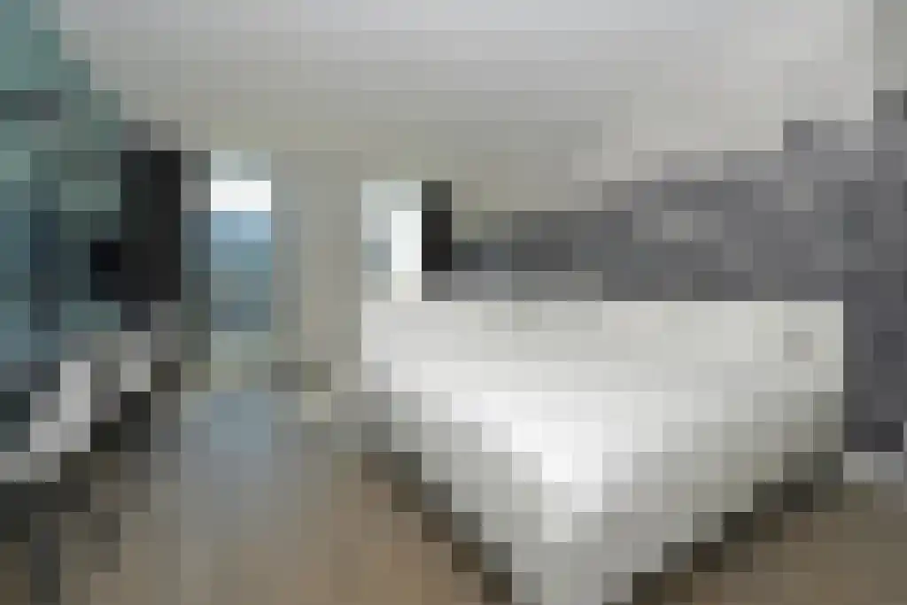 Westerdijk 4 0218 Utrecht thumbnail 5