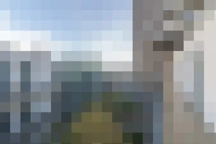 Westerdijk 4 0225 Utrecht thumbnail 5