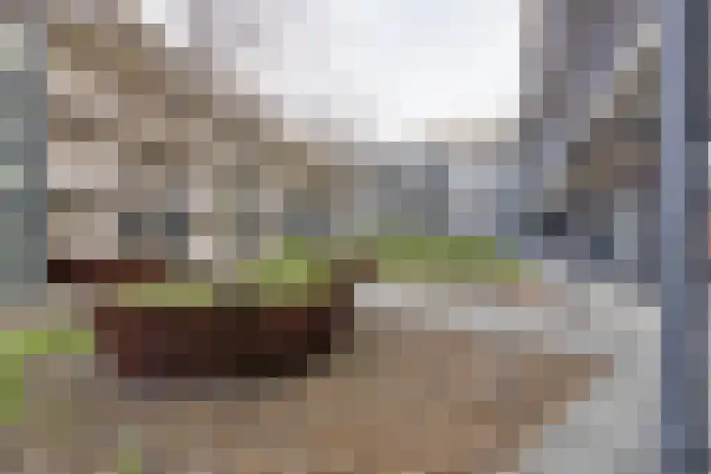 Westerdijk 4 0321 Utrecht thumbnail 24