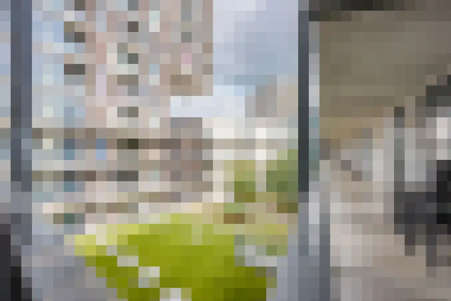 Westerdijk 4 0323 Utrecht thumbnail 25
