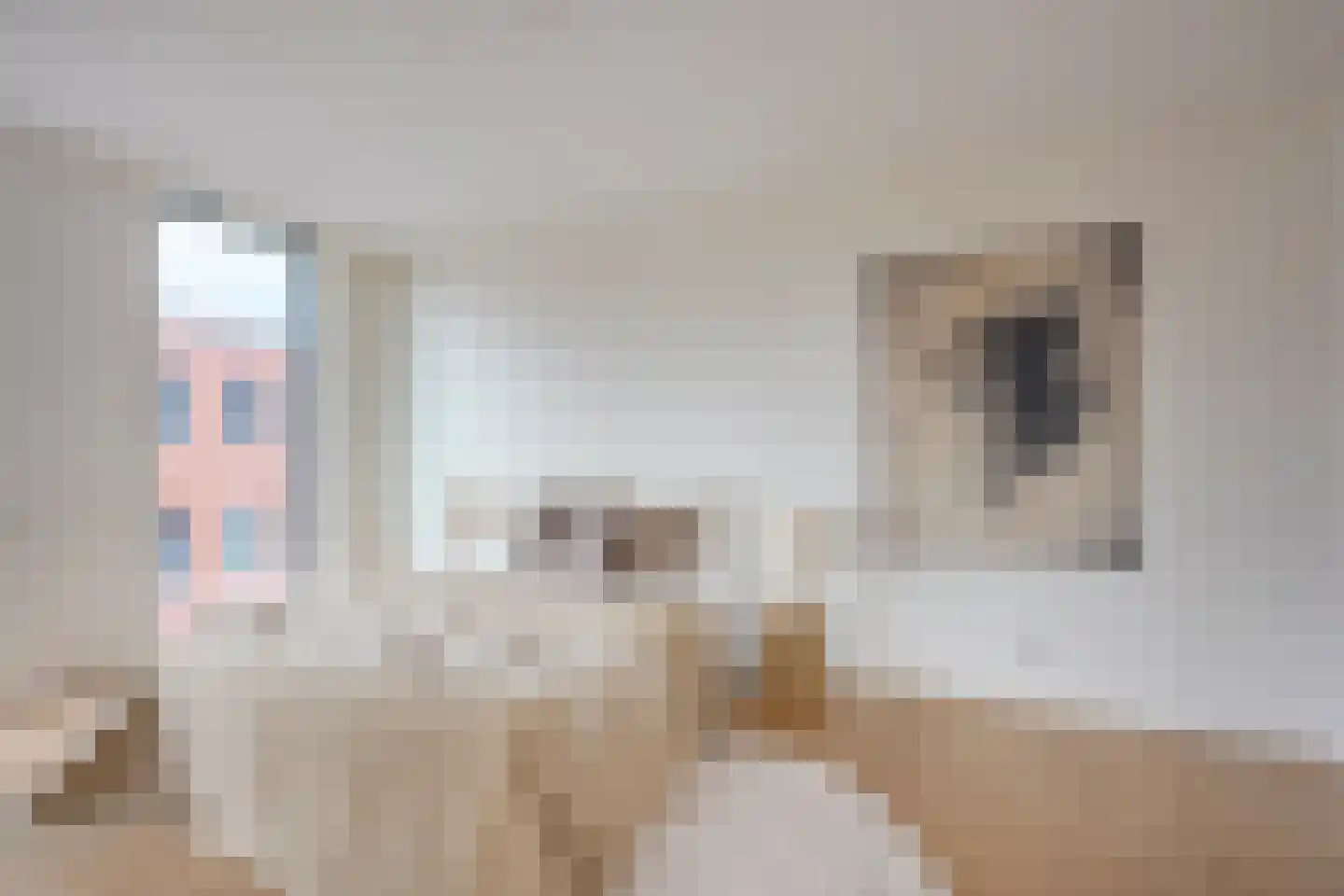 Westerdijk 4 0323 Utrecht thumbnail 5