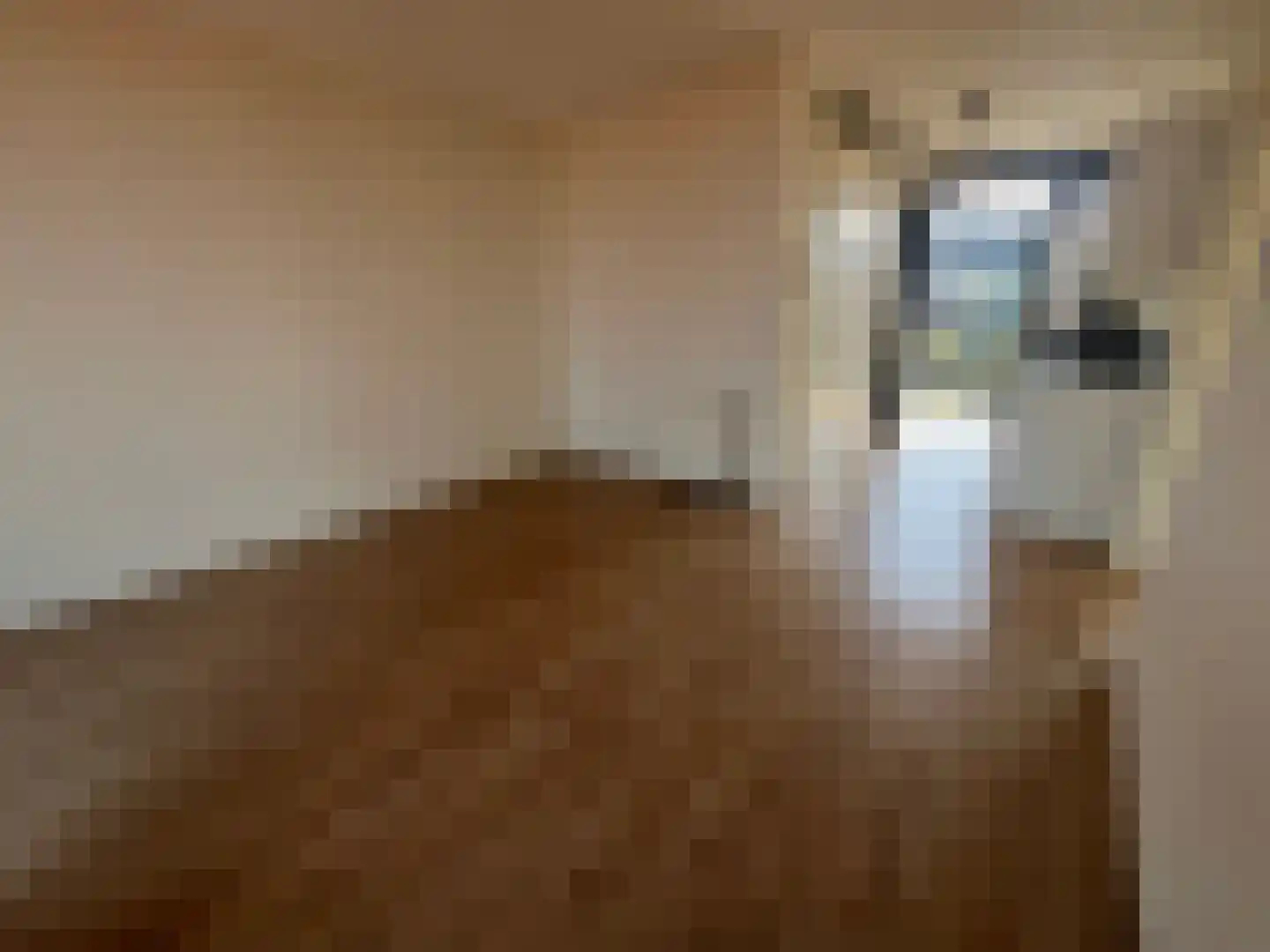 Westerdijk 4 0402 Utrecht thumbnail 12