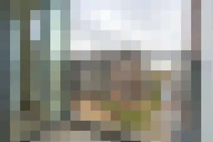 Westerdijk 4 0408 Utrecht thumbnail 9