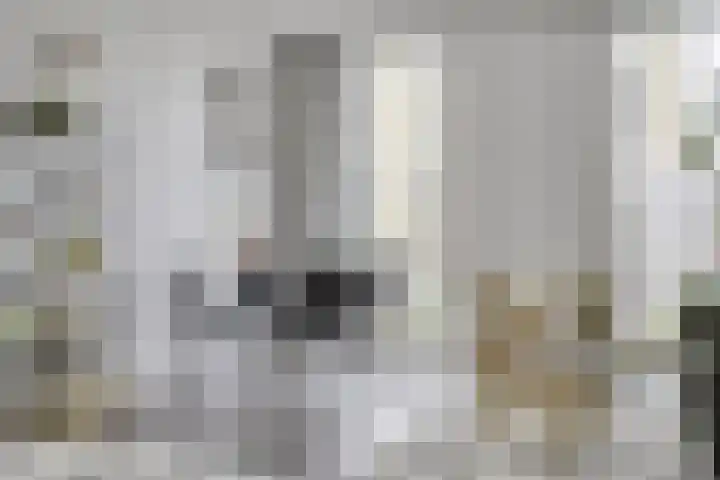 Westerdijk 4 0413 Utrecht thumbnail 14