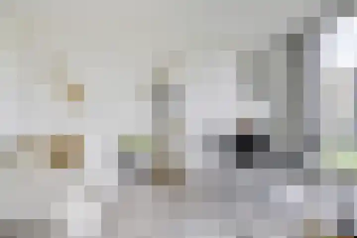 Westerdijk 4 0413 Utrecht thumbnail 15