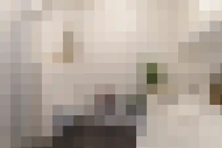 Westerdijk 4 0413 Utrecht thumbnail 19