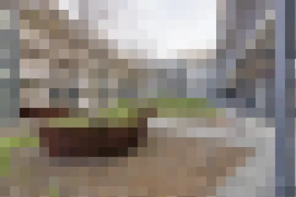 Westerdijk 4 0413 Utrecht thumbnail 19