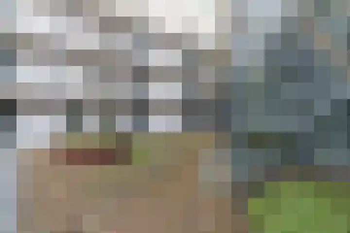 Westerdijk 4 0413 Utrecht thumbnail 22