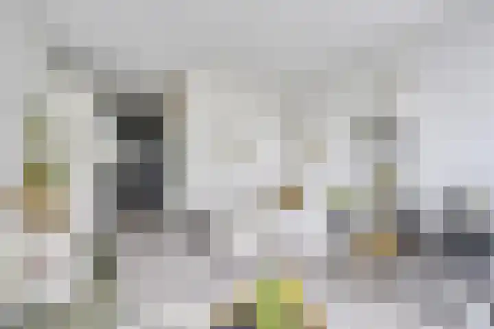 Westerdijk 4 0413 Utrecht thumbnail 4