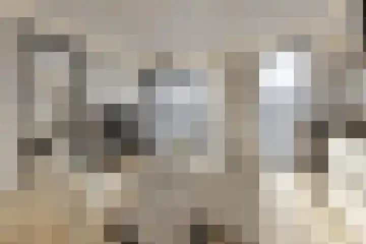 Westerdijk 4 0601 Utrecht foto 3