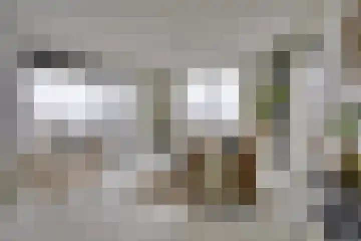 Westerdijk 4 1104 Utrecht thumbnail 5