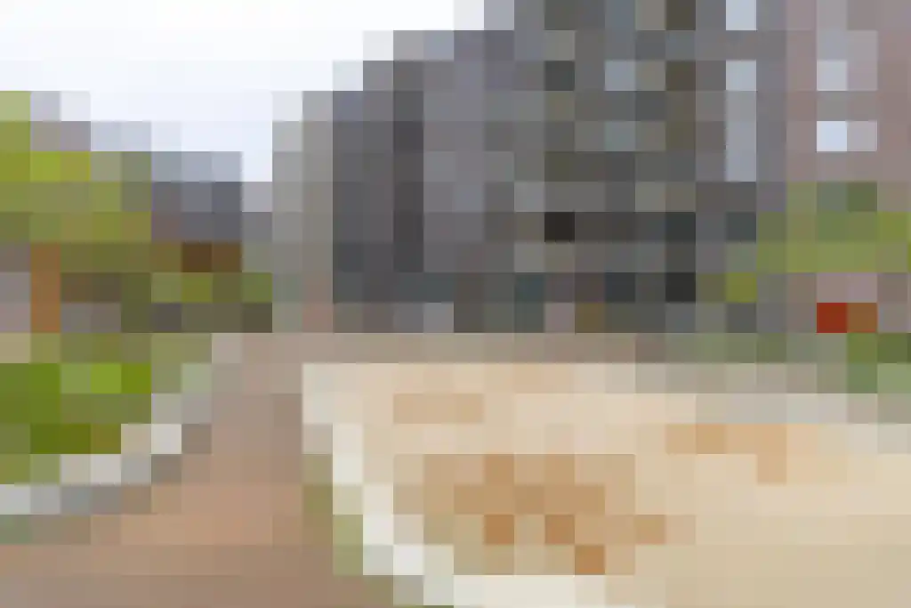 Westerdijk 4 1504 Utrecht thumbnail 26