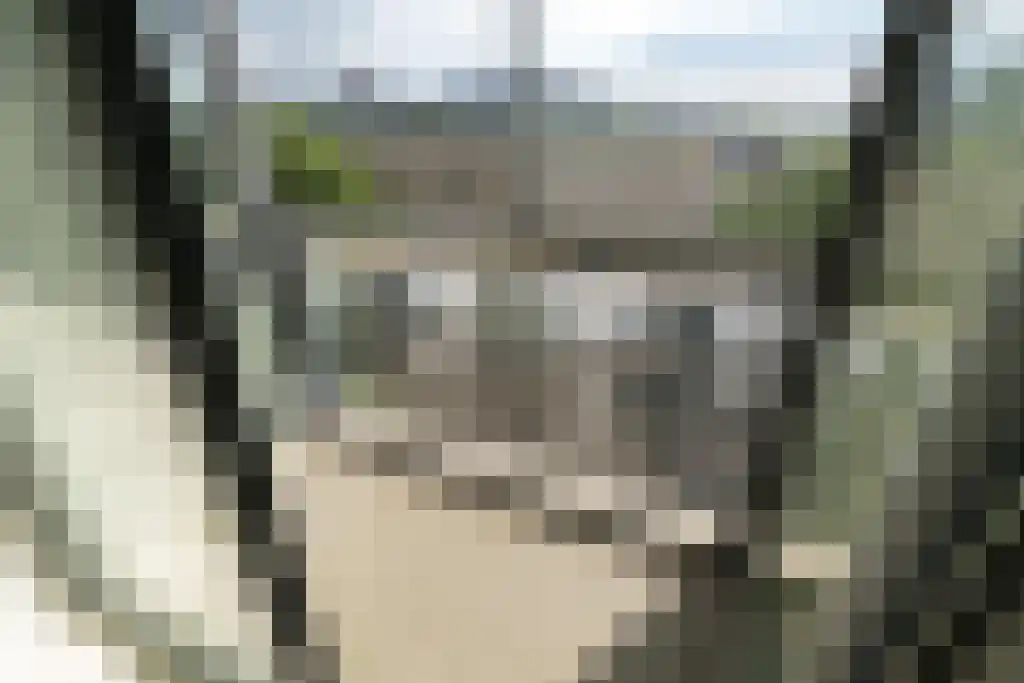 Westerdijk 4 1605 Utrecht thumbnail 21