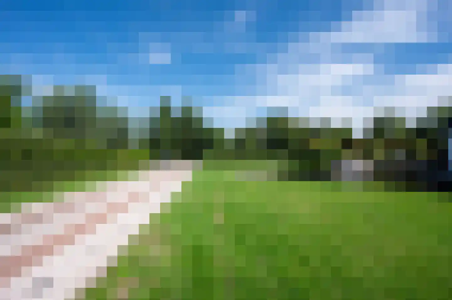 Westerdijk 52 Leimuiden thumbnail 9