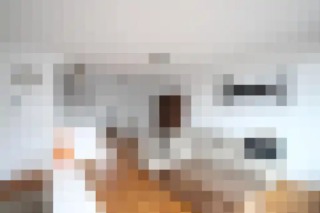 Westerdijk 58 Utrecht foto 2