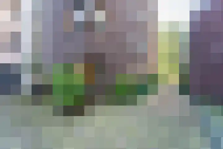 Westerdijk 8 A Utrecht thumbnail 36