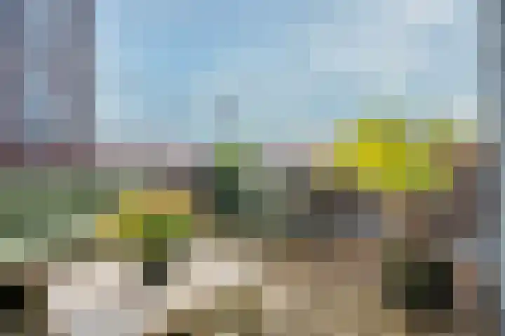 Westerdijk 8 A Utrecht thumbnail 4