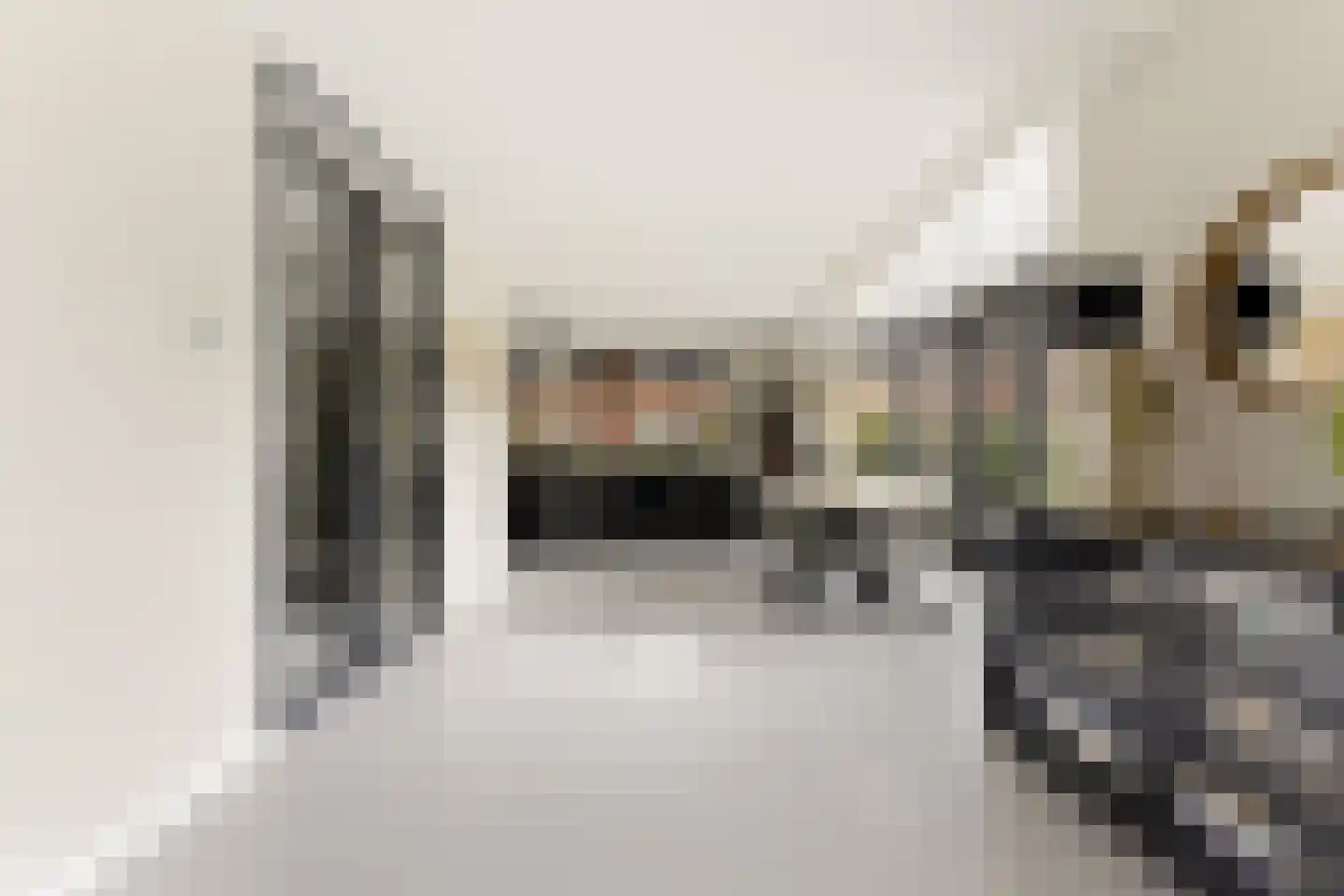 Westerdijkstraat 14 Ridderkerk thumbnail 13