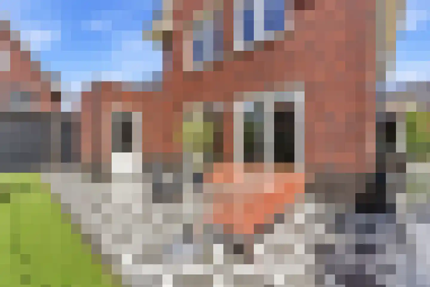 Westerdijkstraat 14 Ridderkerk thumbnail 50