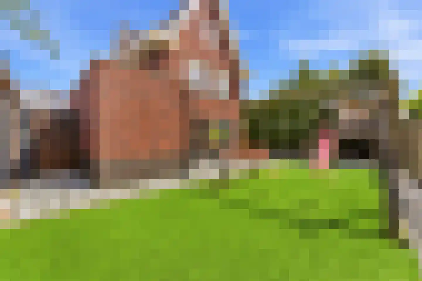 Westerdijkstraat 14 Ridderkerk thumbnail 54